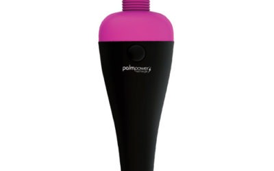 The Palm Power Rechargeable