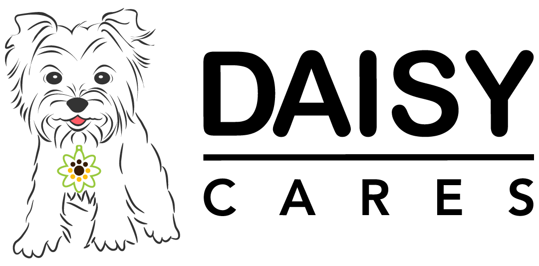 Fiesta Medal 2019 Donation to DaisyCares