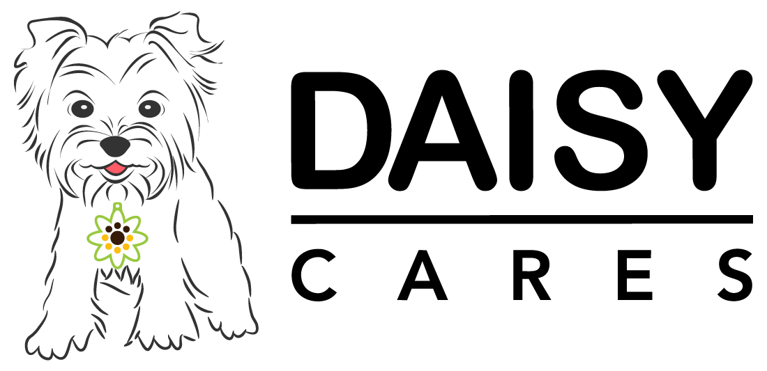 Fiesta Medal 2019 Donation to DaisyCares Love Shack Boutique