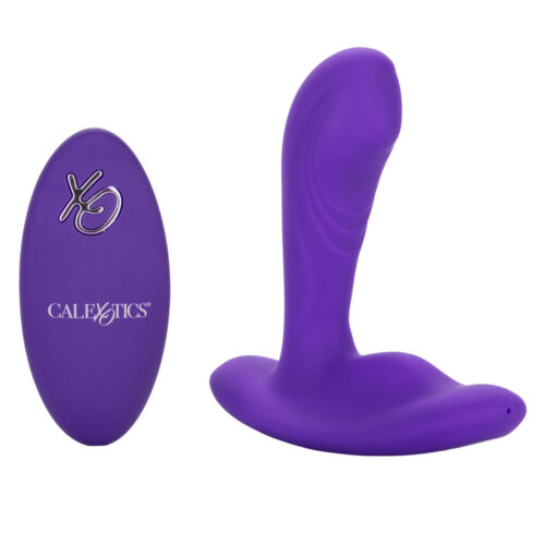 Silicone Remote Pinpoint Pleaser