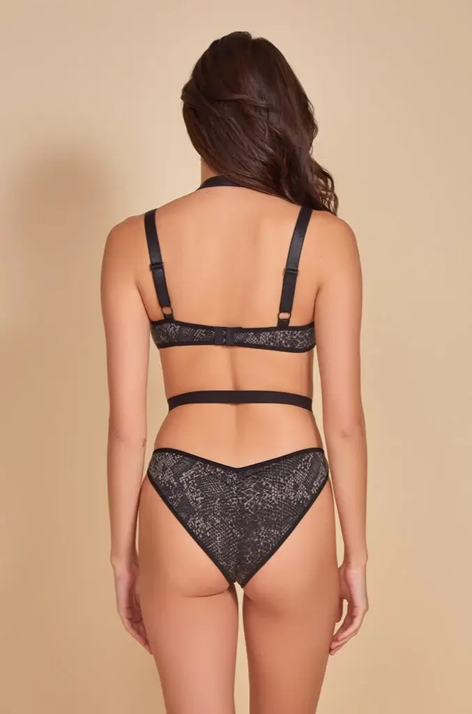 Sidewinder Teddy - Image 2