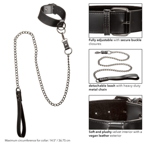 Euphoria Collection Collar with Chain Leash