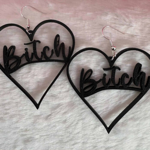 Naughty Funny Sass Earrings