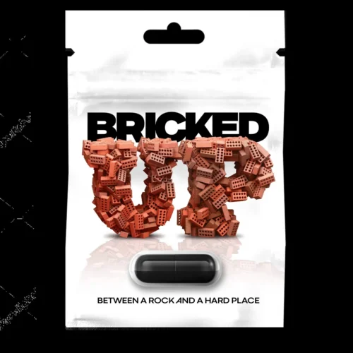 BRICKED-UP SUPPLEMENT