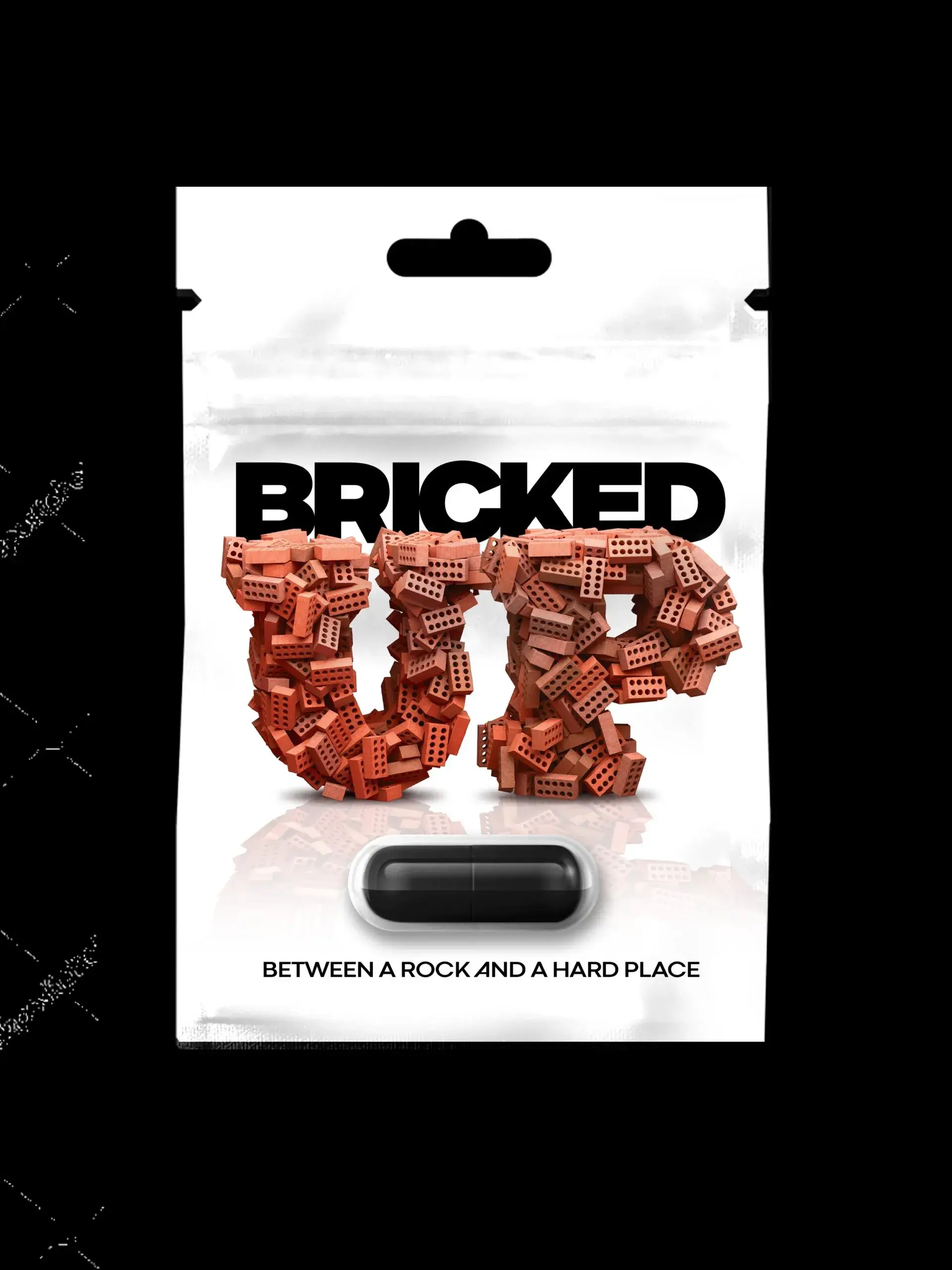 BRICKED-UP SUPPLEMENT